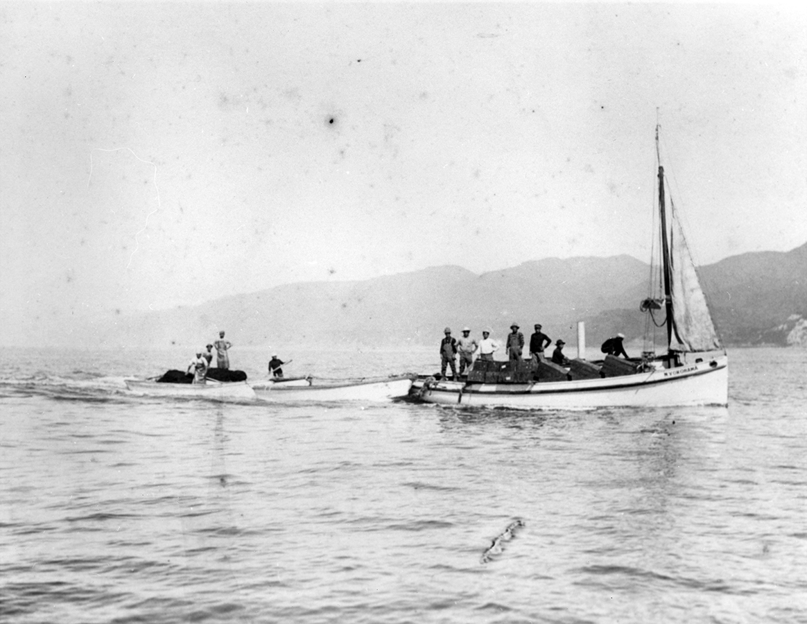 Japanese Fishermen in the Bay