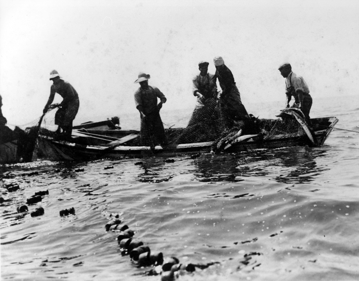 Japanese Fishermen at Work